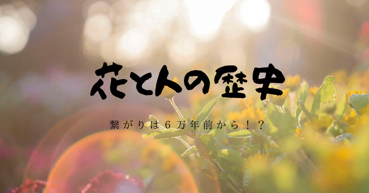 f:id:fairysgarden:20210318232546p:plain
