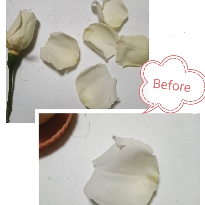 f:id:fairysgarden:20210428130205j:plain