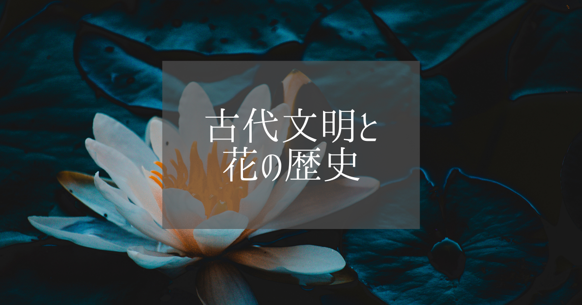 f:id:fairysgarden:20210508142111p:plain