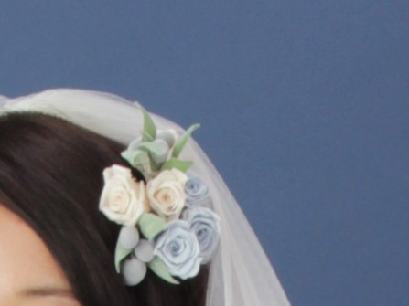 f:id:fairysgarden:20210623150425j:plain