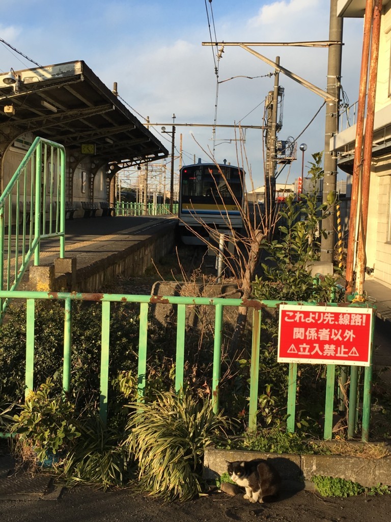 f:id:fake-jizo:20180315193415j:plain