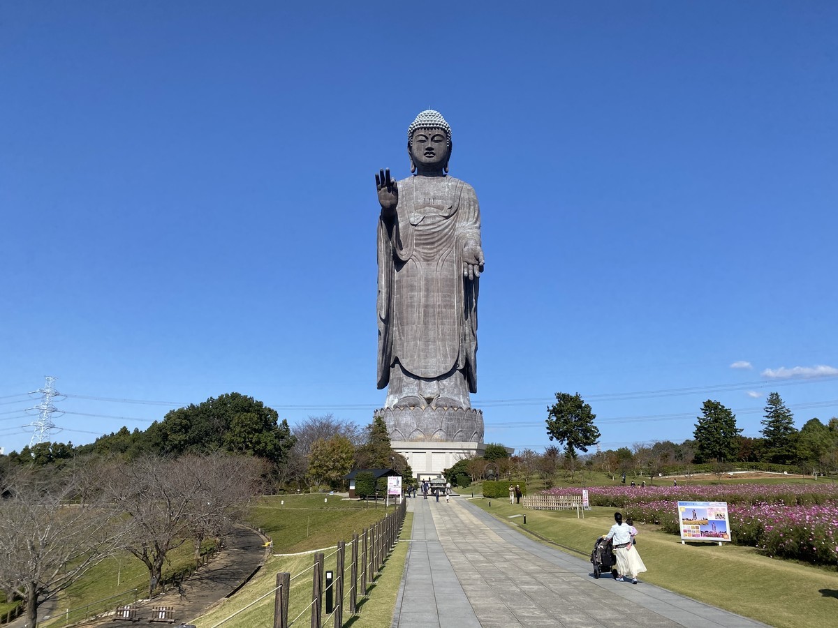 f:id:fake-jizo:20201221204833j:plain