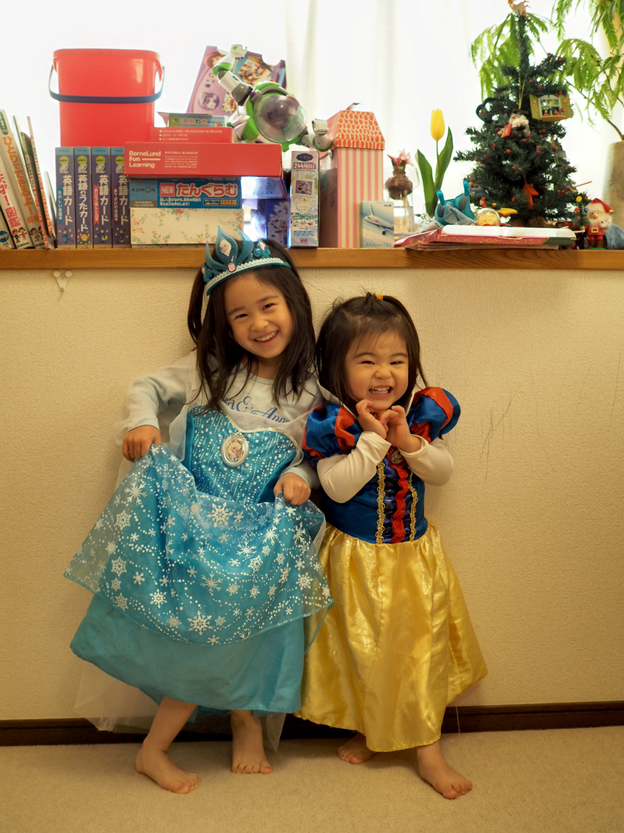 f:id:fal725:20150102101352j:plain