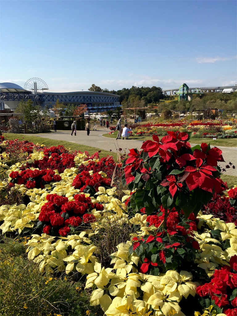 f:id:fal725:20151030071657j:plain f:id:fal725:20151030071657j:plain
