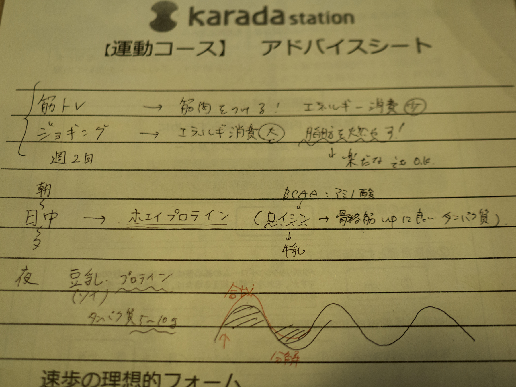 f:id:fal725:20170130211105j:plain