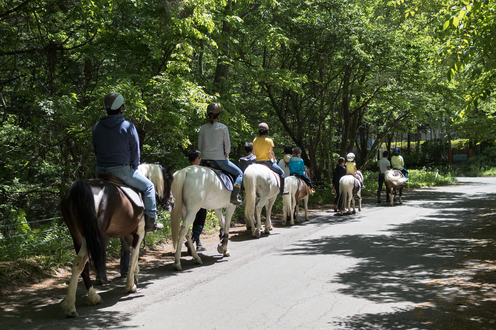 f:id:fal725:20170604103613j:plain