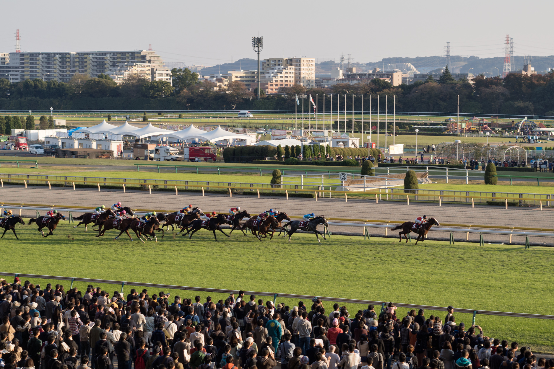 家族みんなで楽しめる 東京競馬場に行ってきた 子連れでウロウロ Fal Diary 家族みんなで楽しめる 東京競馬場に行ってきた 子連れでウロウロ Fal Diary