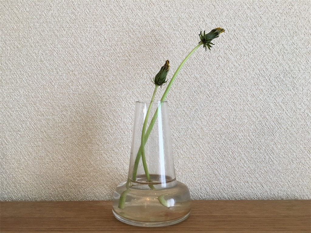 f:id:fal725:20180419172414j:image