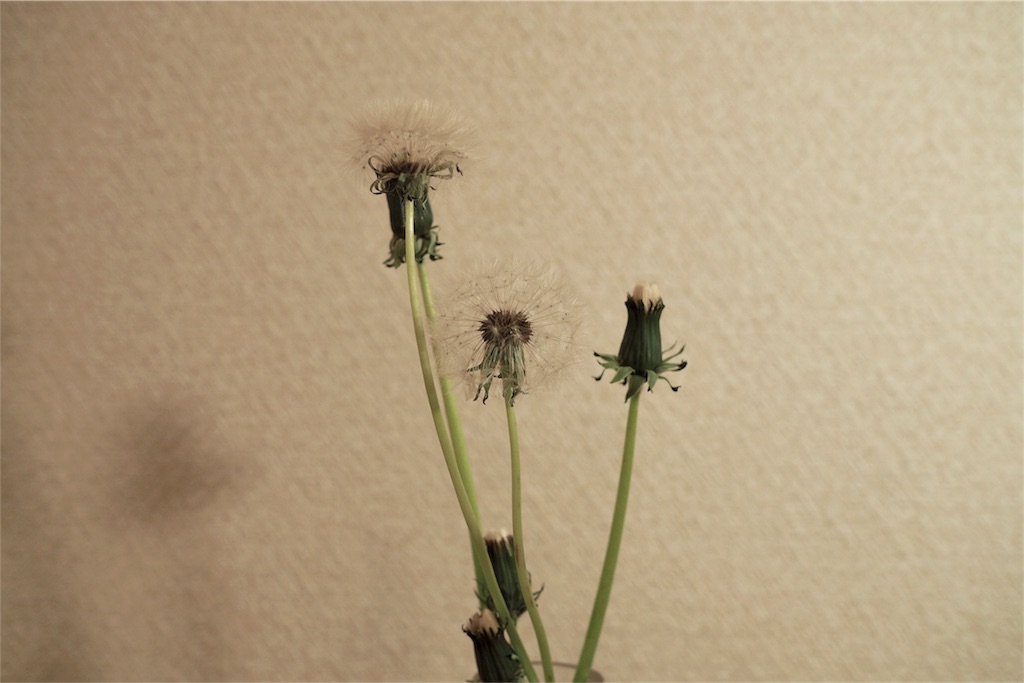 f:id:fal725:20180419191902j:image