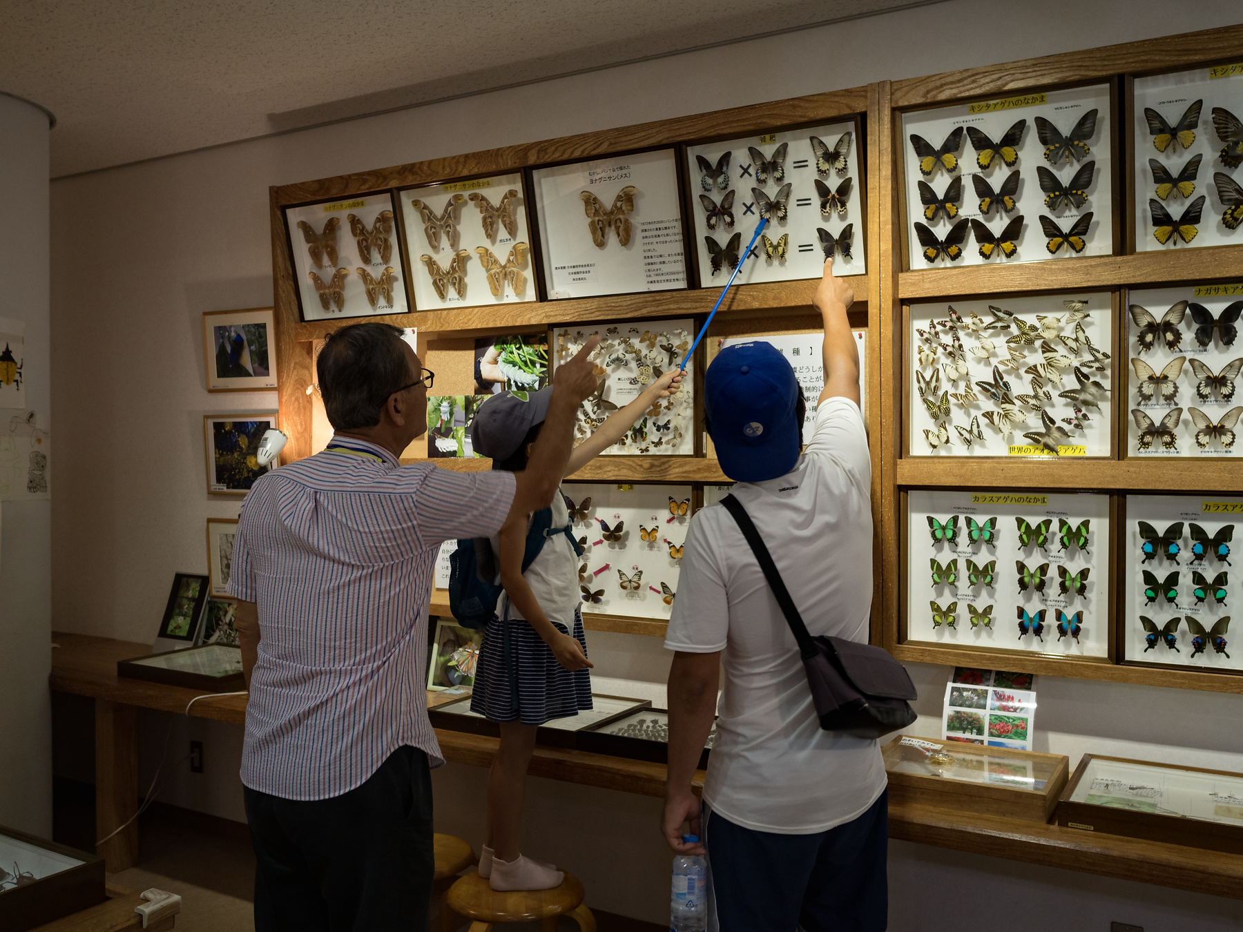 f:id:fal725:20180729121434j:plain