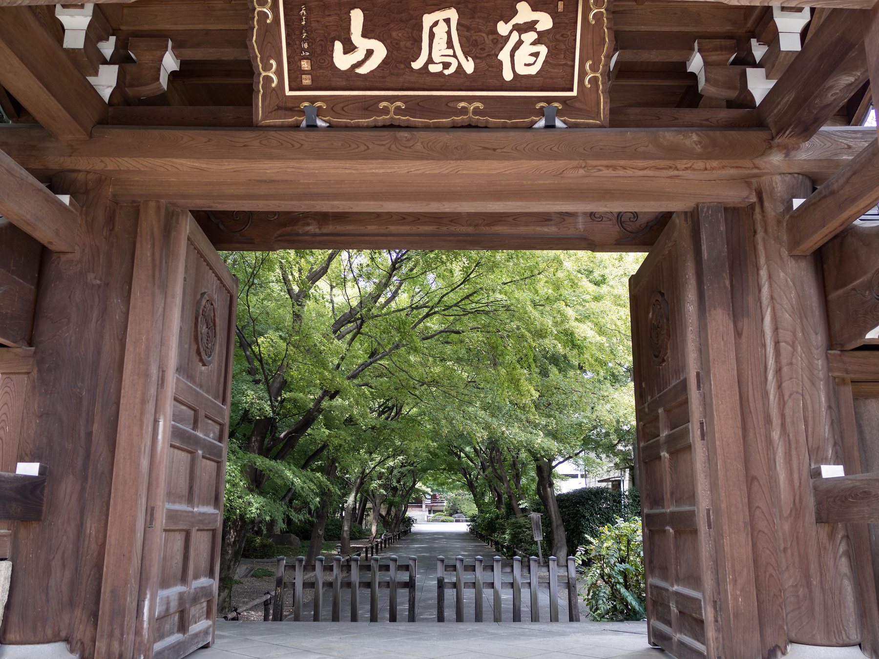 f:id:fal725:20180819124514j:plain