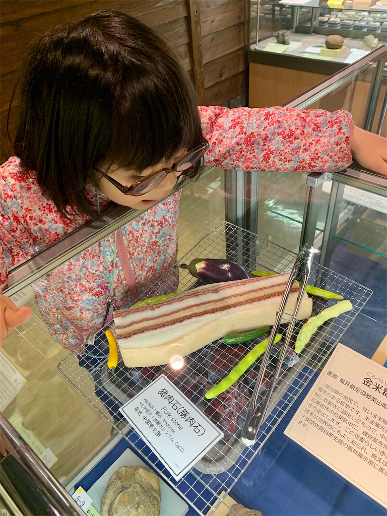f:id:fal725:20190321163724j:plain f:id:fal725:20190321163724j:plain