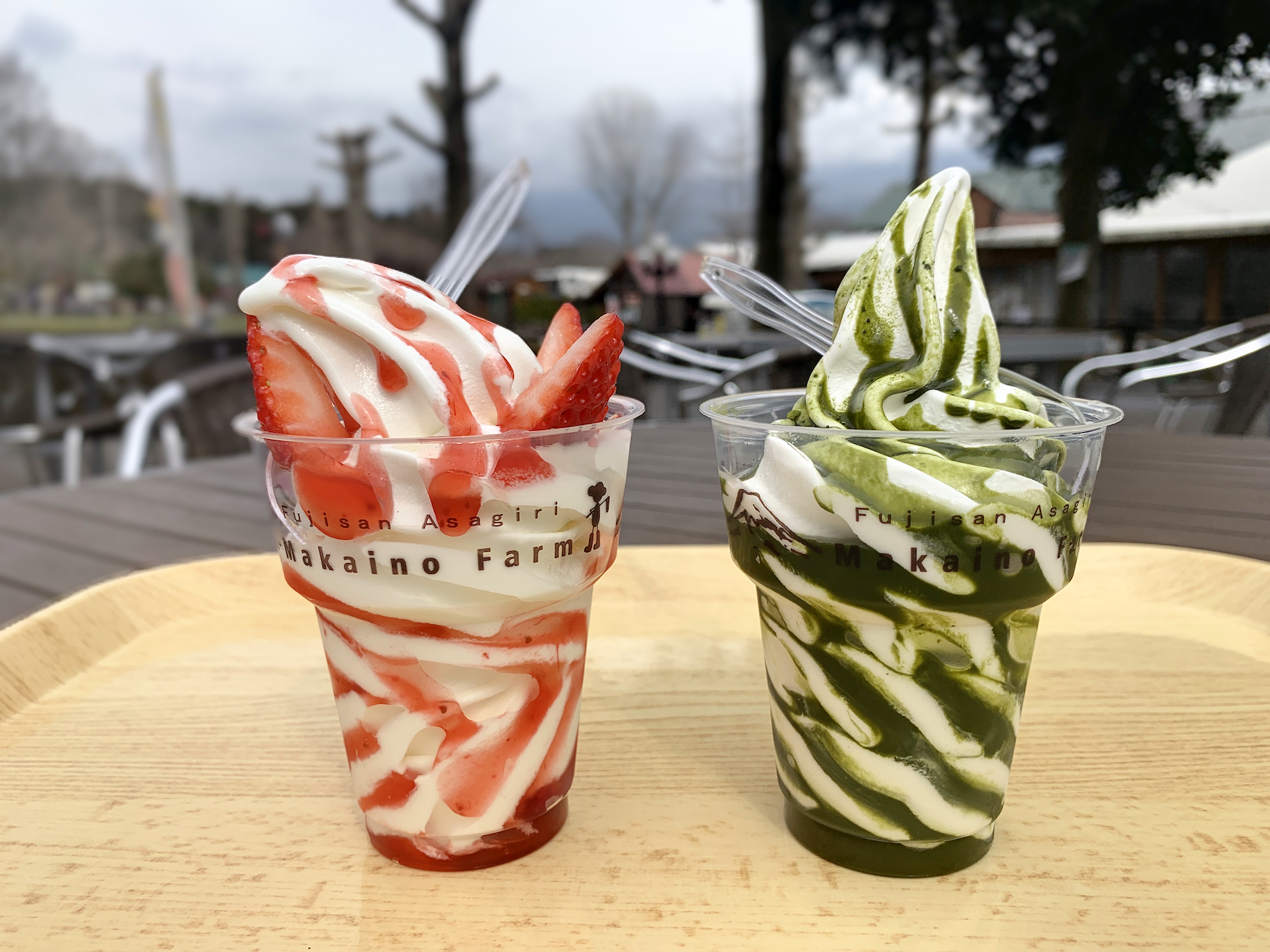 f:id:fal725:20190322135433j:plain