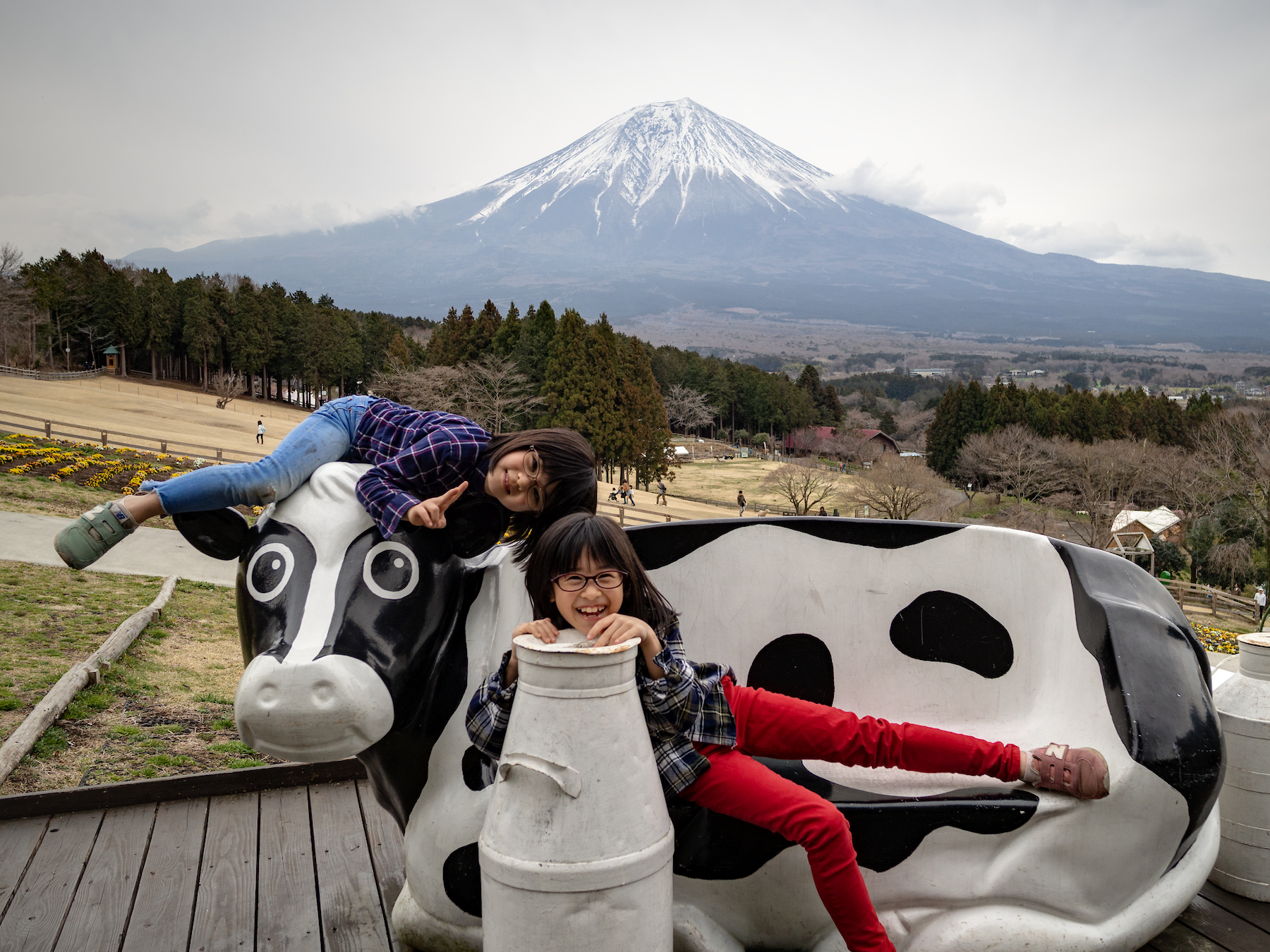 f:id:fal725:20190322144048j:plain