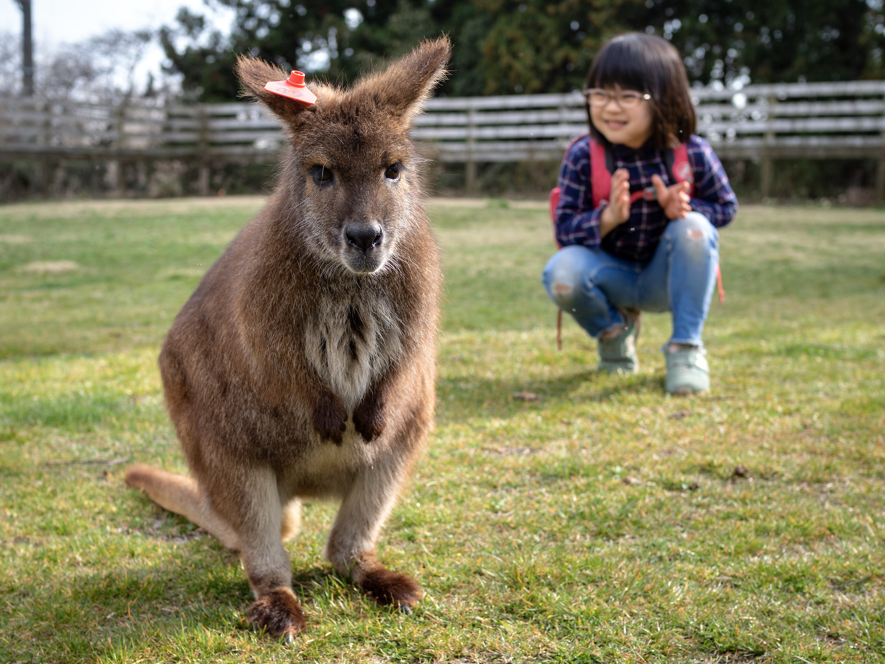 f:id:fal725:20190322152812j:plain