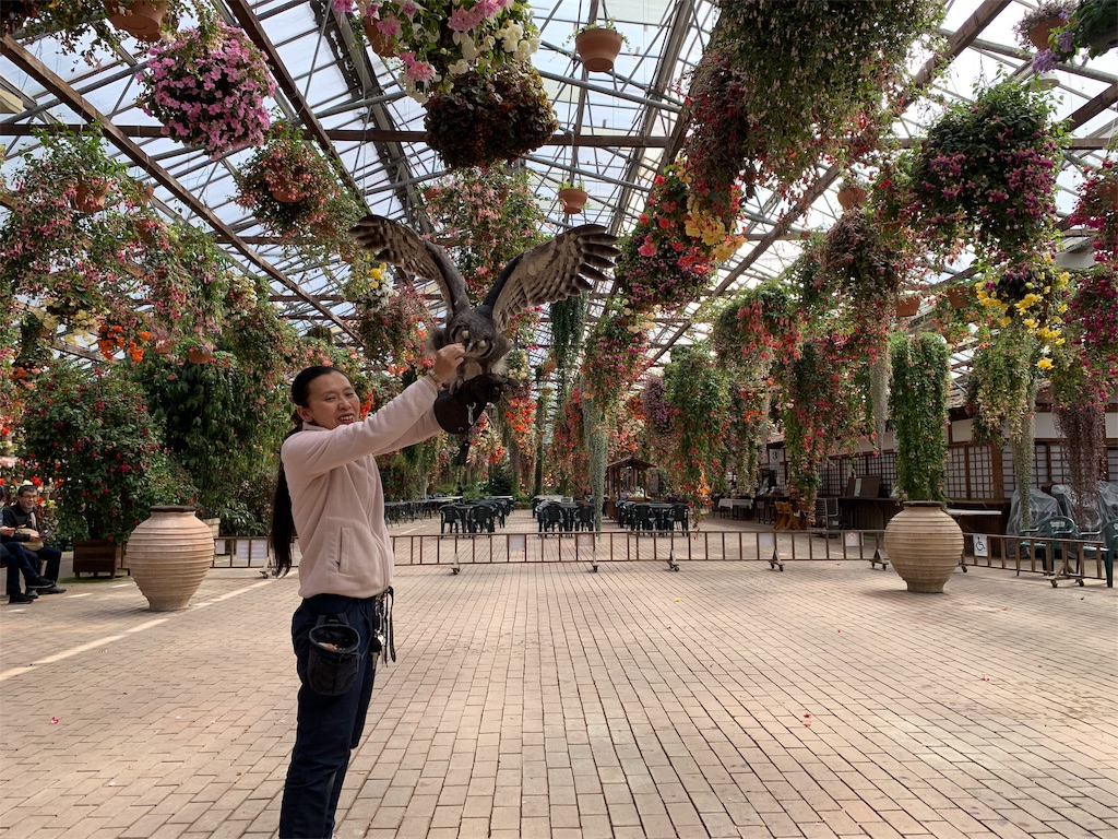 f:id:fal725:20190331023312j:image f:id:fal725:20190331023312j:image