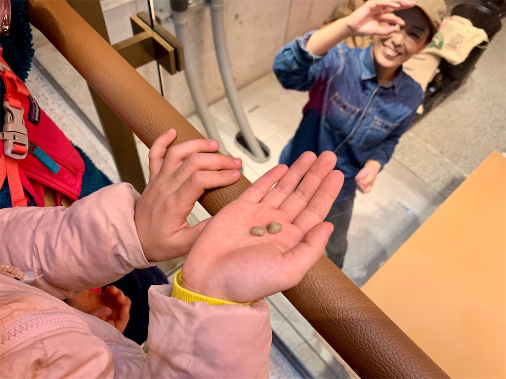 f:id:fal725:20190401224450j:image