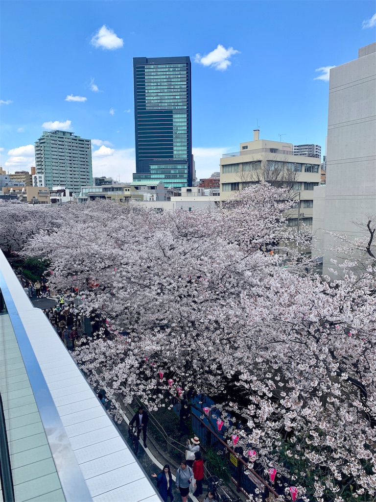 f:id:fal725:20190401224513j:image