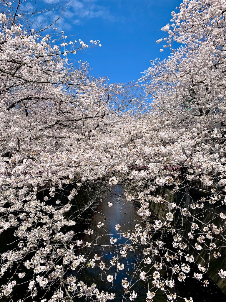 f:id:fal725:20190401224929j:image