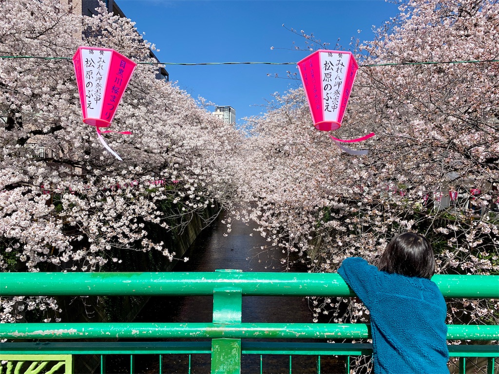 f:id:fal725:20190401225124j:image
