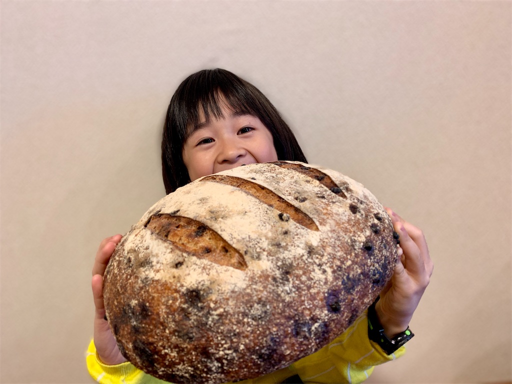 f:id:fal725:20190401225129j:image