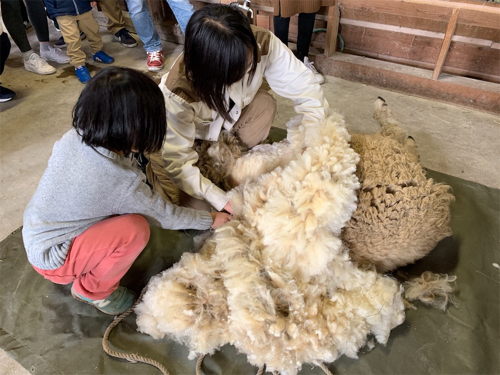 f:id:fal725:20190425174721j:image