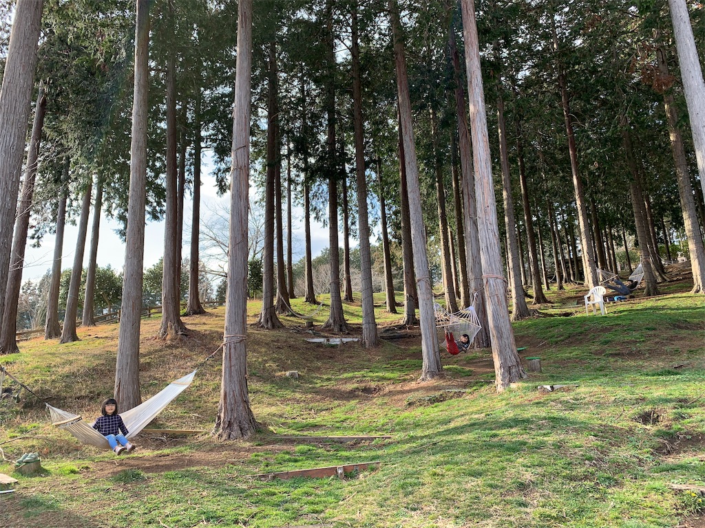 f:id:fal725:20190425174739j:image