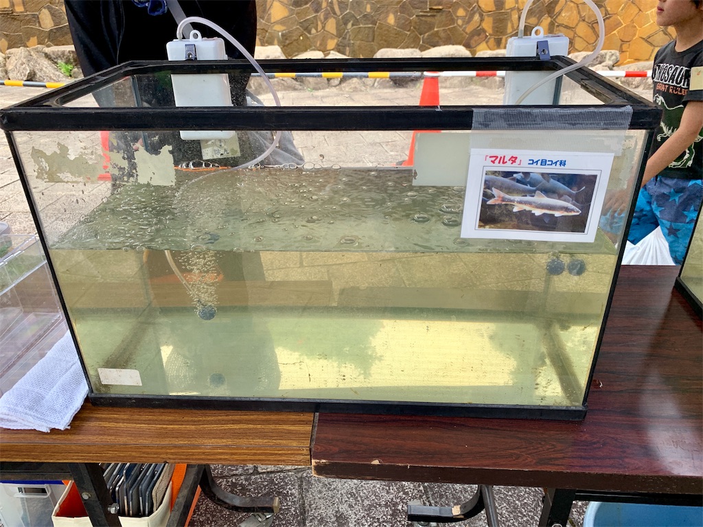 f:id:fal725:20190603131035j:image