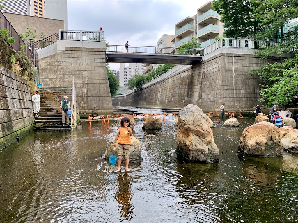 f:id:fal725:20190603131038j:image