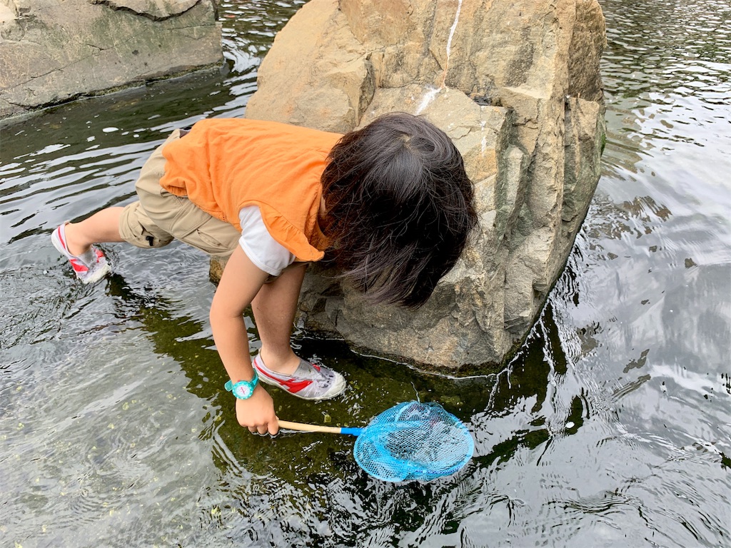 f:id:fal725:20190603131044j:image