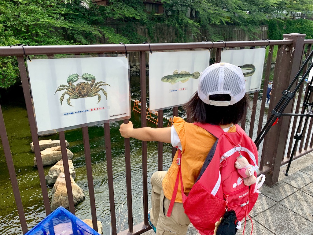 f:id:fal725:20190603131047j:image