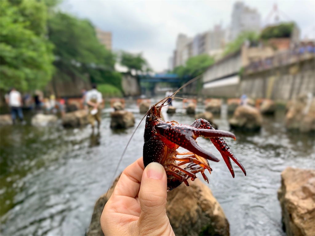 f:id:fal725:20190603131054j:image
