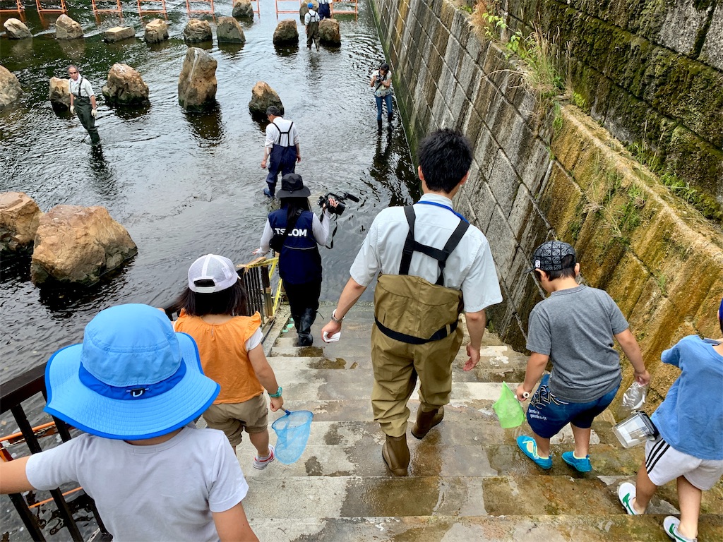 f:id:fal725:20190603131220j:image