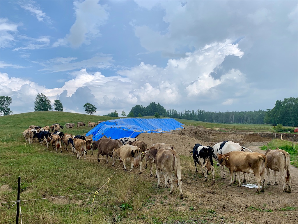f:id:fal725:20190725213028j:image