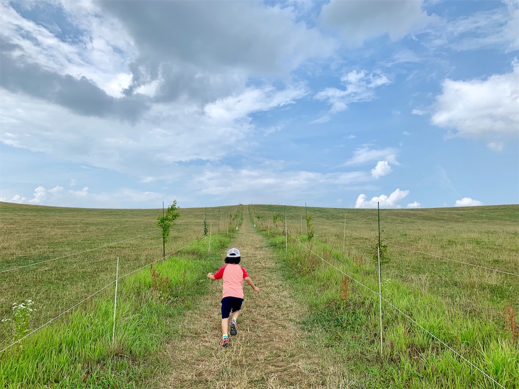 f:id:fal725:20190725213106j:image