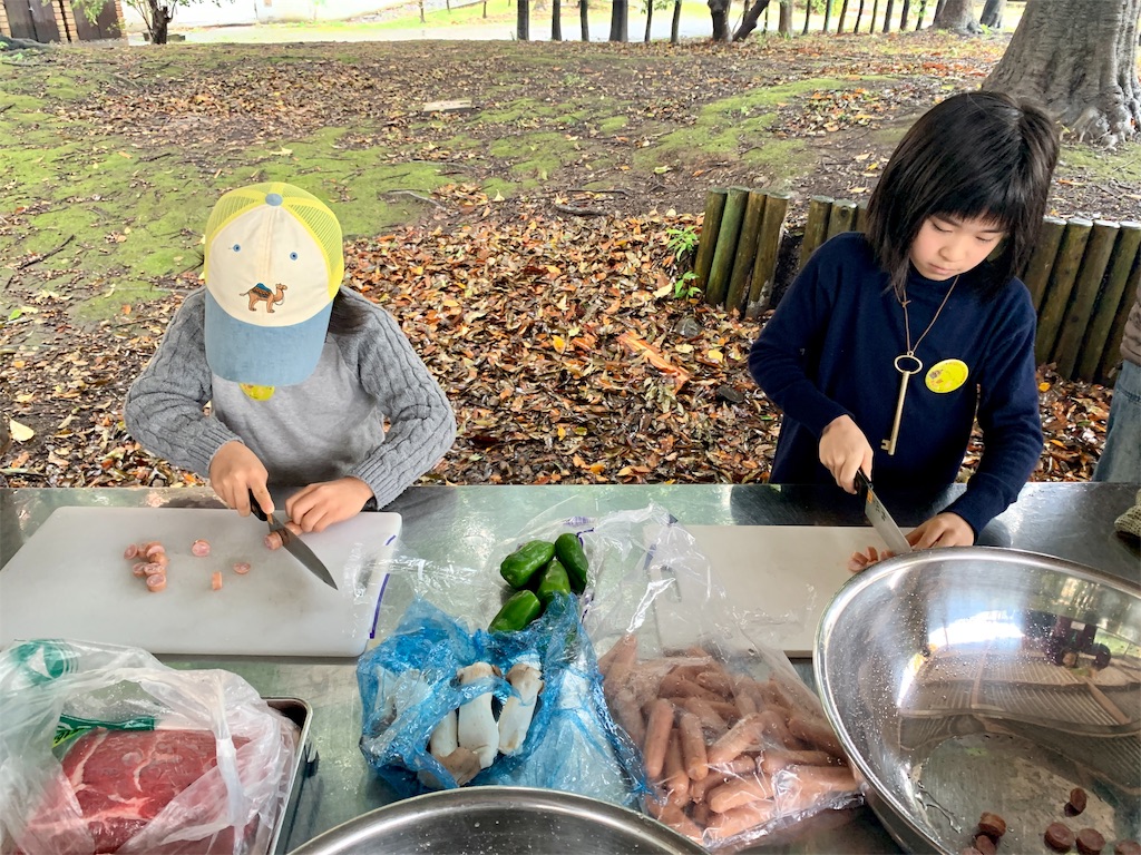 f:id:fal725:20191124221536j:image