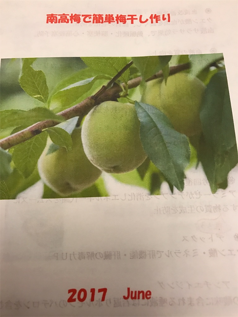 f:id:falcon_aco:20170705161857j:image f:id:falcon_aco:20170705161857j:image