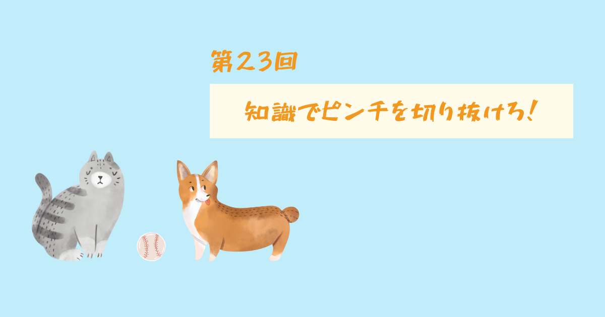 f:id:falconchang:20210928103928p:plain