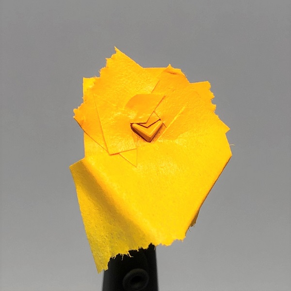 f:id:fallcrest3:20200531222516j:plain f:id:fallcrest3:20200531222516j:plain