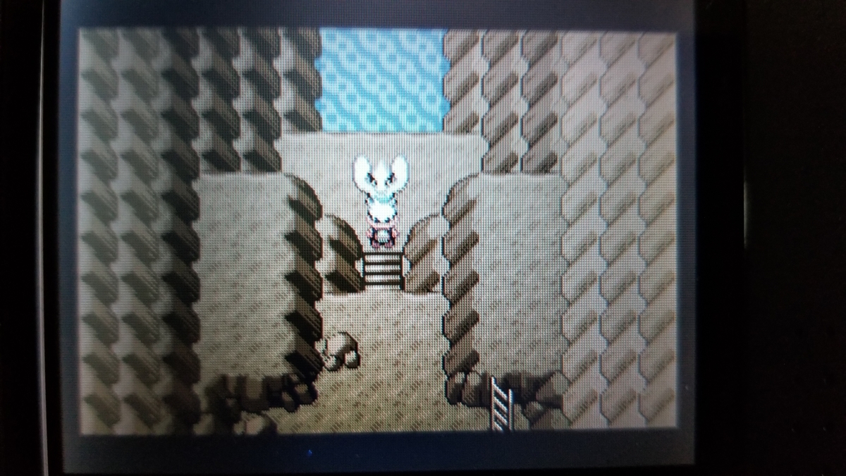 ポケモンem 実践 任意コード ふぉるの趣味置き場