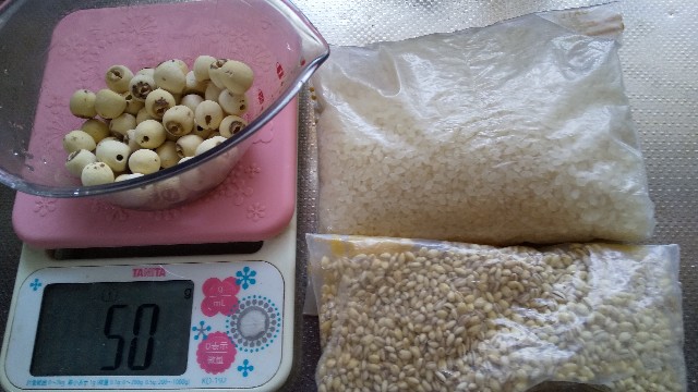 f:id:falneko:20241118165545j:image f:id:falneko:20241118165545j:image