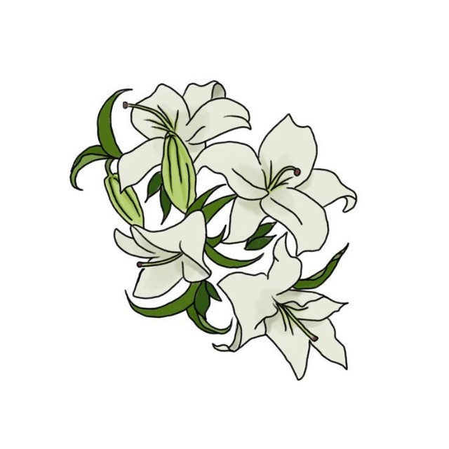 f:id:falneko:20250311122832j:image