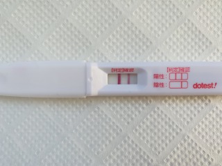 f:id:family-blog:20190426125545j:plain f:id:family-blog:20190426125545j:plain