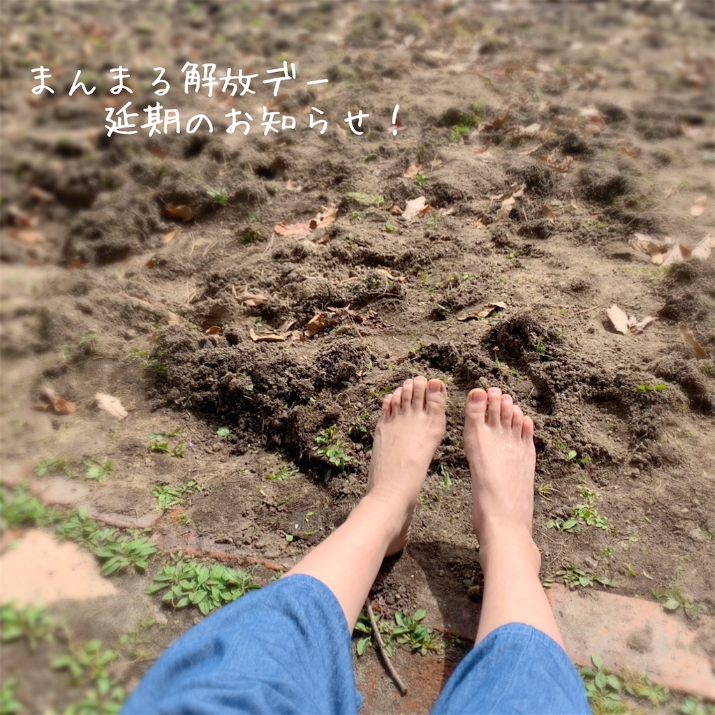 f:id:family_yaaninju_miyagi:20210430115756j:image