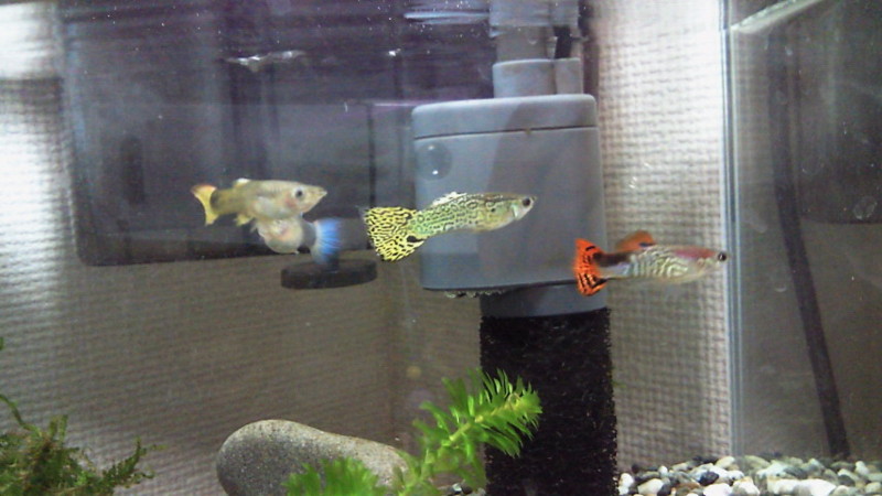 f:id:familycar:20121022234900j:image f:id:familycar:20121022234900j:image