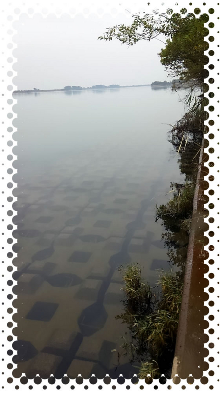 f:id:familyfishing:20161024201519j:plain f:id:familyfishing:20161024201519j:plain