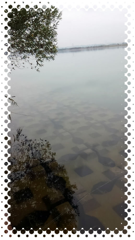 f:id:familyfishing:20161024201520j:plain f:id:familyfishing:20161024201520j:plain
