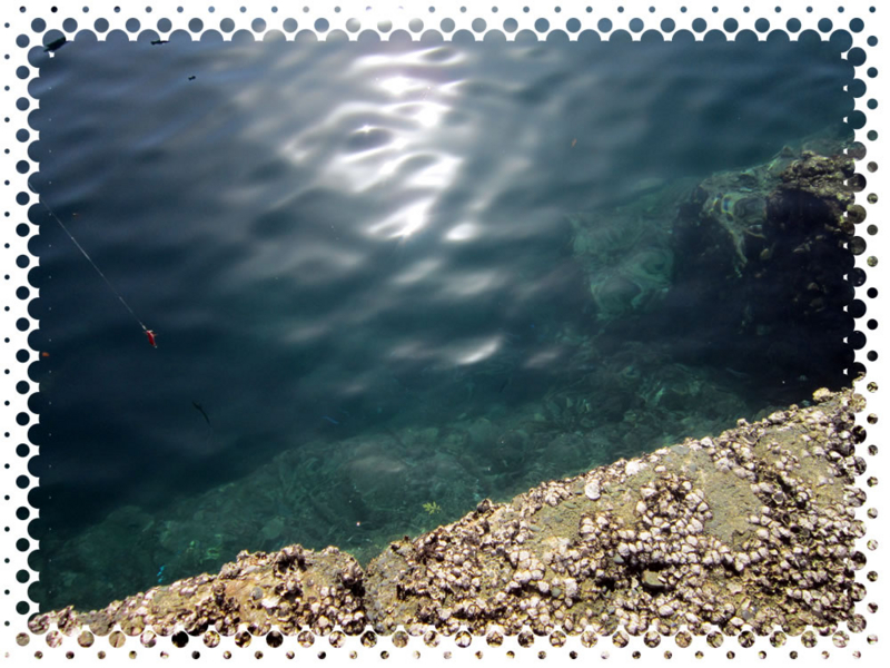 f:id:familyfishing:20161109200235j:plain f:id:familyfishing:20161109200235j:plain