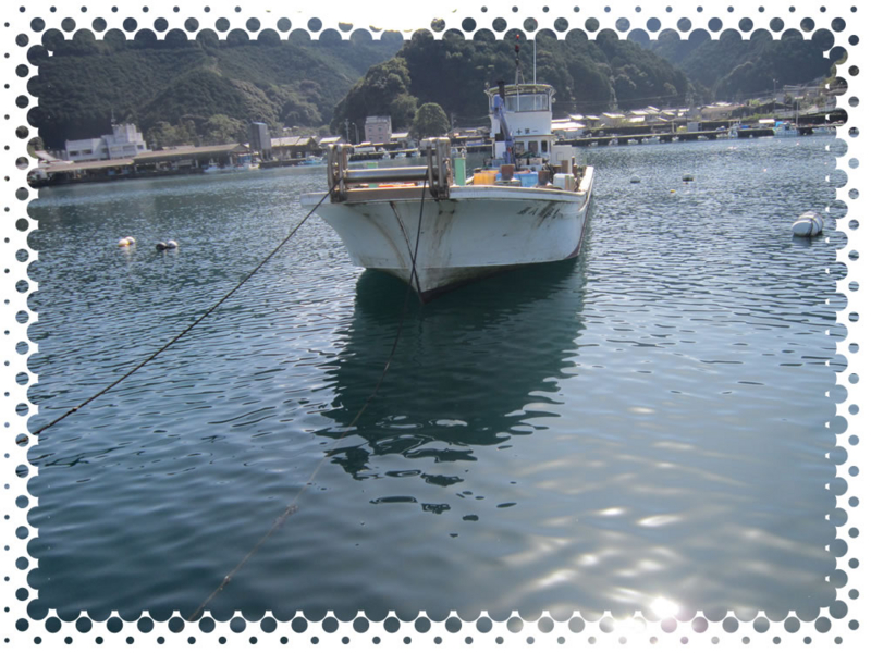 f:id:familyfishing:20161109200236j:plain f:id:familyfishing:20161109200236j:plain