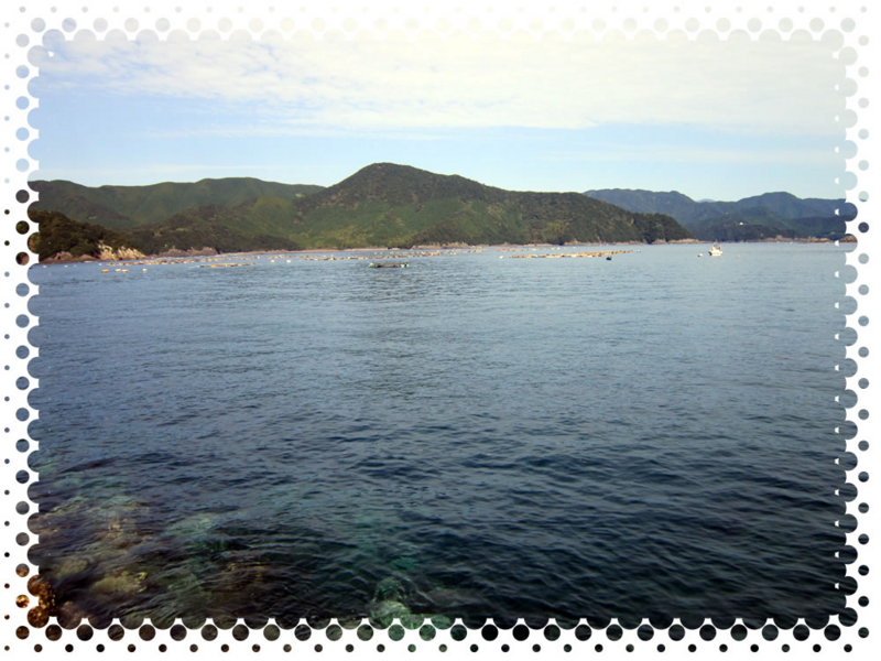 f:id:familyfishing:20161109200240j:plain f:id:familyfishing:20161109200240j:plain